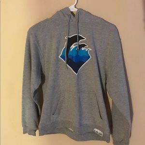 Pink dolphin hoodie